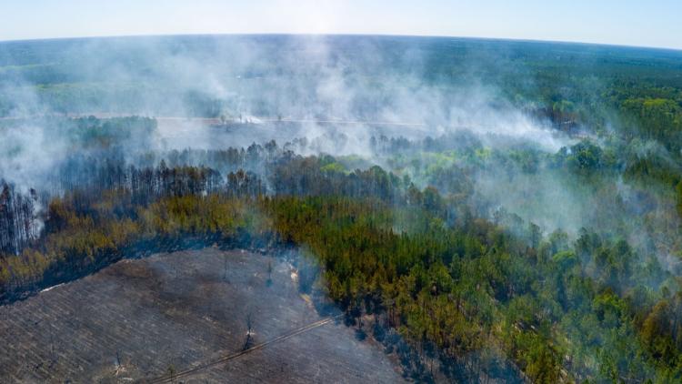 Un bilan alarmant des incendies mondiaux en 2026