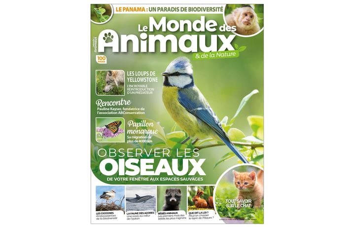 Les Capacités Sensorielles Fascinantes des Animaux