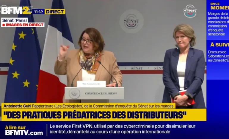 Recommandations de la commission d&rsquo;enquête du Sénat sur les marges des industriels