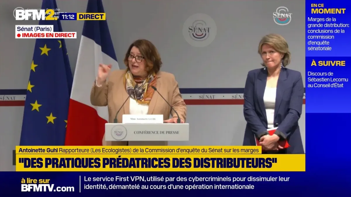 Recommandations de la commission d&rsquo;enquête du Sénat sur les marges des industriels