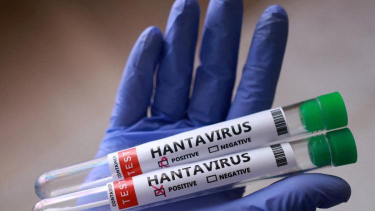 L&rsquo;hantavirus en Argentine: une menace toujours présente