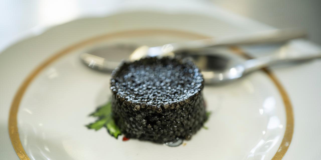 Le déclin de l&rsquo;esturgeon et l&rsquo;avenir du caviar noir