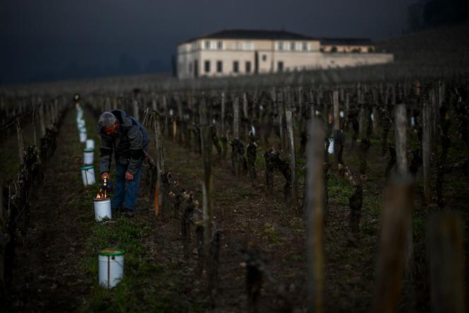 La consommation mondiale de vin en baisse