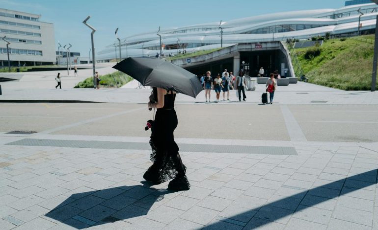 Alerte Canicule et Conséquences en France