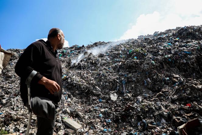 Gaza : les rongeurs et les insectes amplifient les souffrances des déplacés