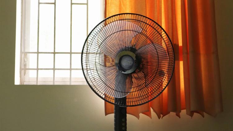 Les dangers méconnus des ventilateurs en période de canicule