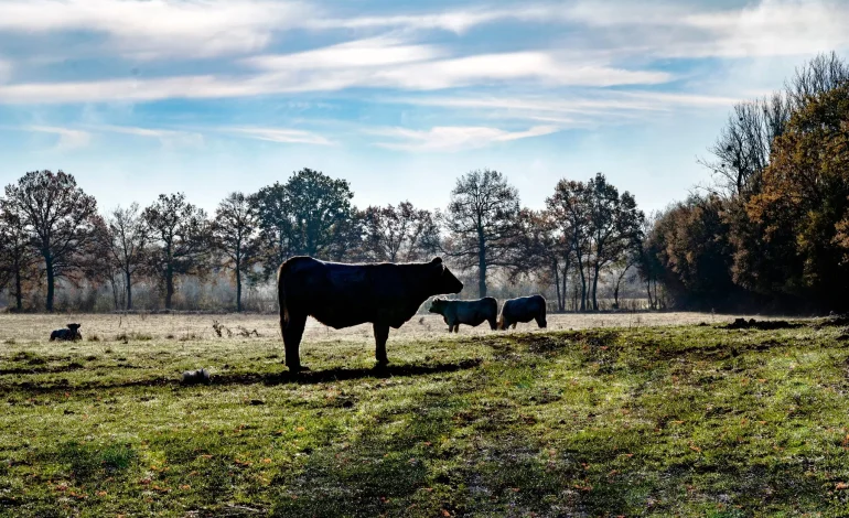 Solutions pour une agriculture durable et une alimentation de qualité