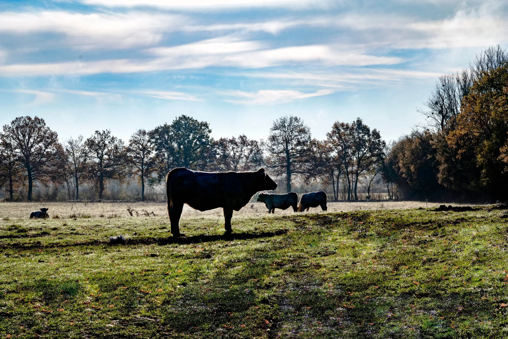Solutions pour une agriculture durable et une alimentation de qualité