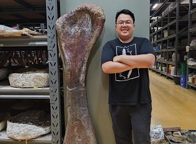 Découverte d&rsquo;un Dinosaure Géant en Thaïlande : Le Nagatitan chaiyaphumensis