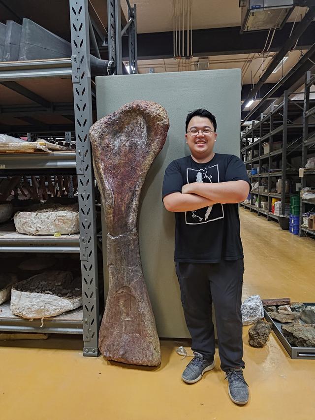 Découverte d&rsquo;un Dinosaure Géant en Thaïlande : Le Nagatitan chaiyaphumensis