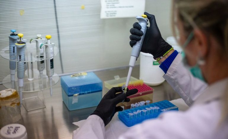 Analyse des mesures prises contre le hantavirus des Andes en France