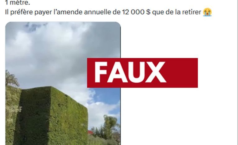 Vérification sur les haies de la villa de Jeff Bezos
