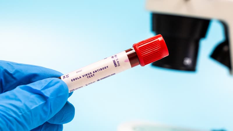Nouvelle épidémie d&rsquo;Ebola en République démocratique du Congo
