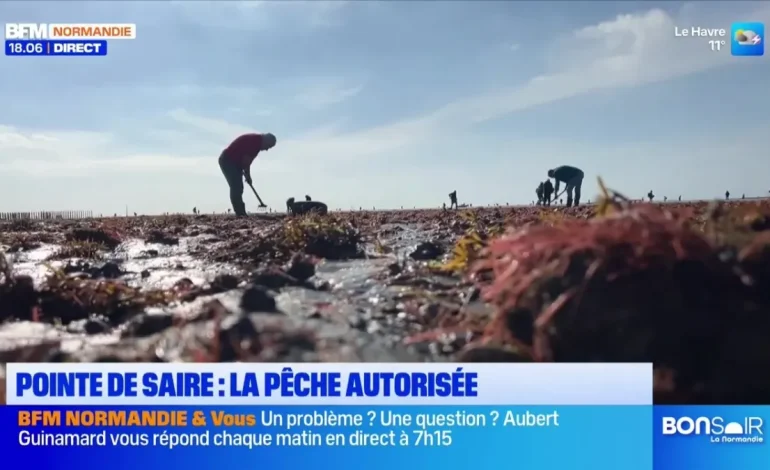 Bonsoir la Normandie de BFM Normandie