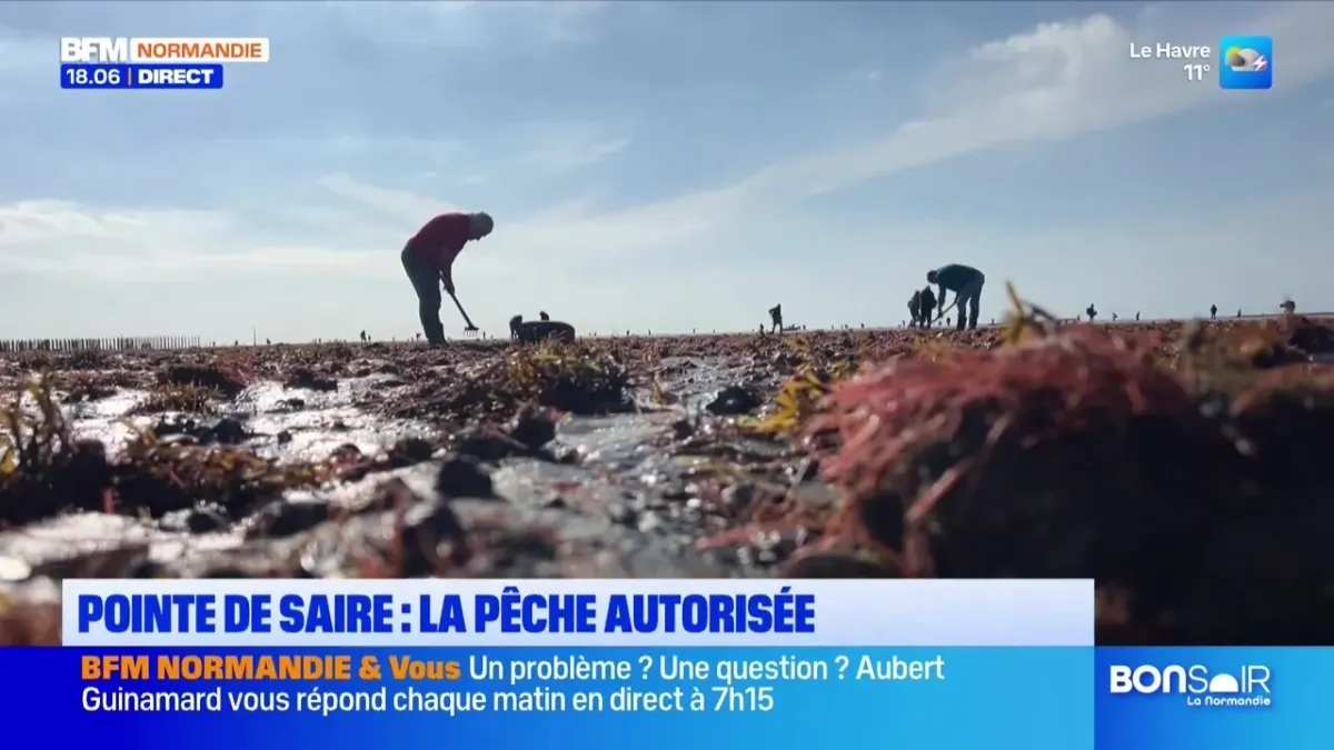 Bonsoir la Normandie de BFM Normandie