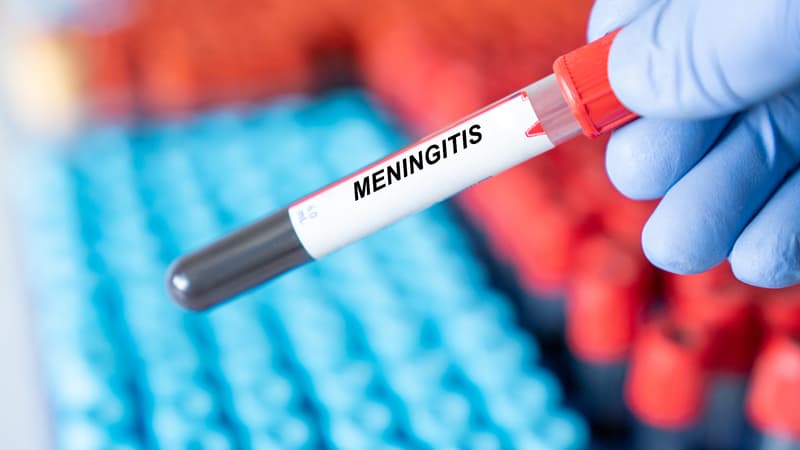 La méningite en Angleterre: cas récents et mesures de précaution