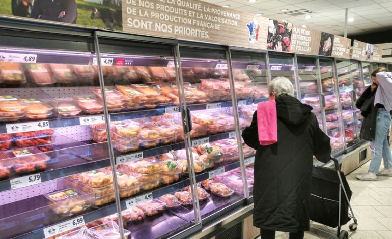 Les enjeux de la production de poulets de chair en Europe