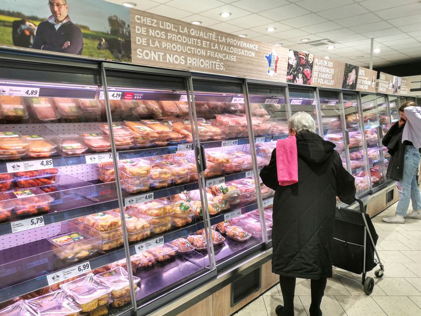 Les enjeux de la production de poulets de chair en Europe