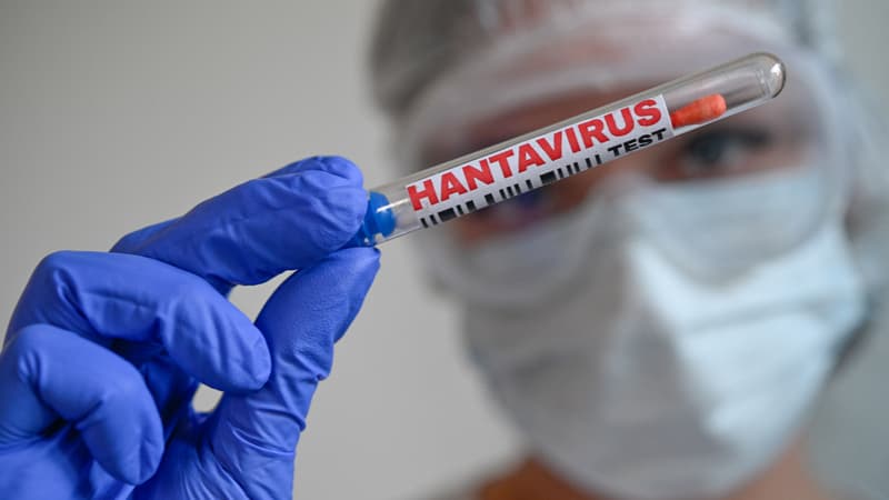Un premier cas d&rsquo;hantavirus transmissible entre humains confirmé en France
