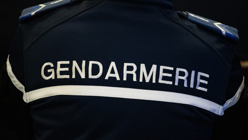 Opération de Gendarmerie à Saint-Privat-du-Fau en Réponse à une Tentative de Rave Party