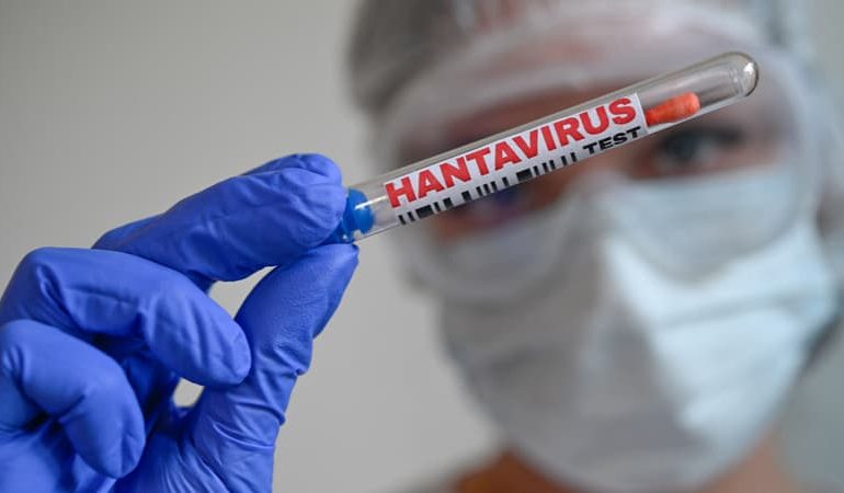 Une mission scientifique pour traquer l&rsquo;hantavirus à Ushuaïa