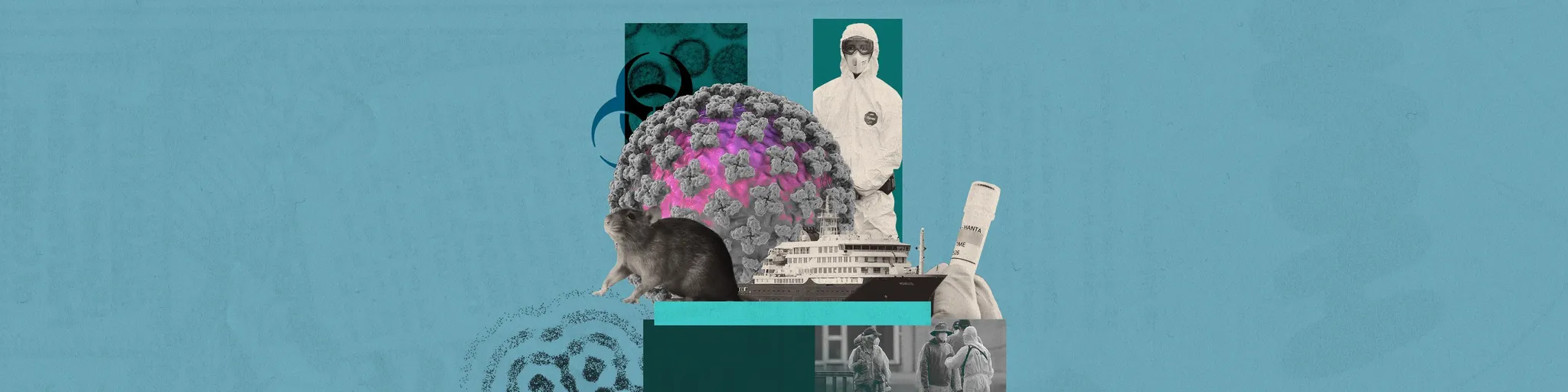 Comprendre l&rsquo;hantavirus et ses risques