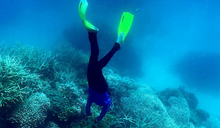 Un plongeur de 55 ans recherché près de l&rsquo;île de Porquerolles