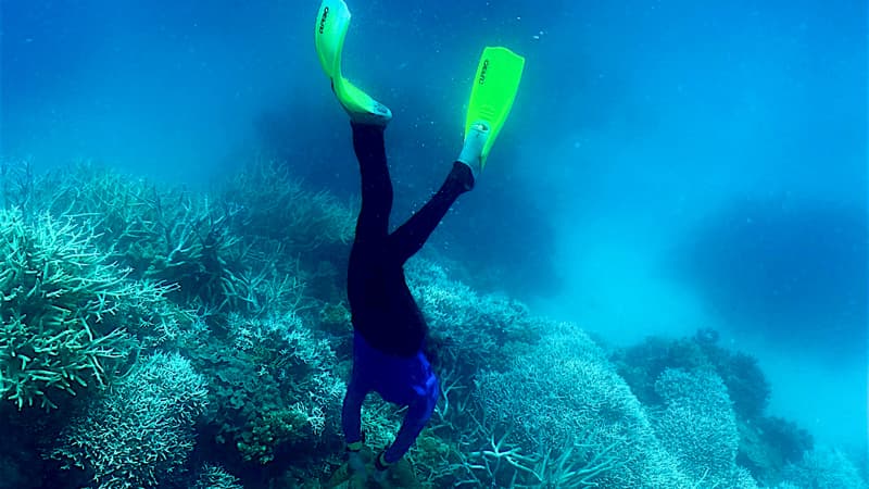 Un plongeur de 55 ans recherché près de l&rsquo;île de Porquerolles