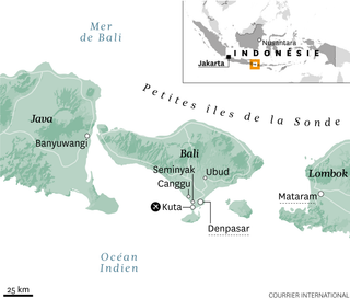 Le conflit des taxis à Bali : une guerre entre VTC et traditions locales