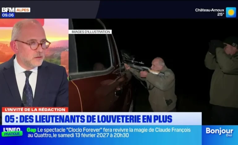 Prédation du loup : la préfecture des Hautes-Alpes renforce ses effectifs