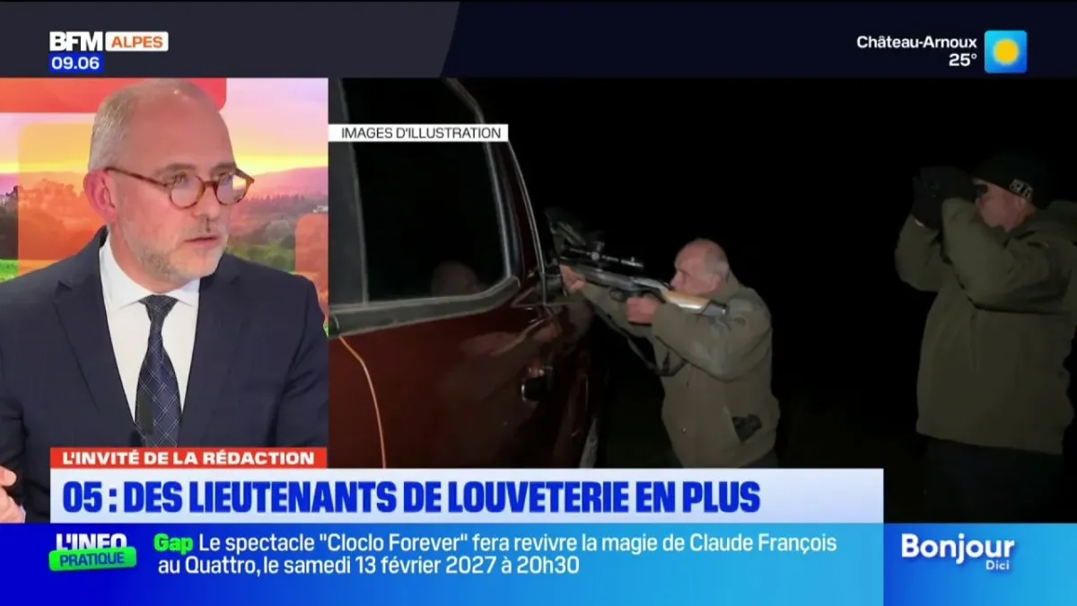 Prédation du loup : la préfecture des Hautes-Alpes renforce ses effectifs