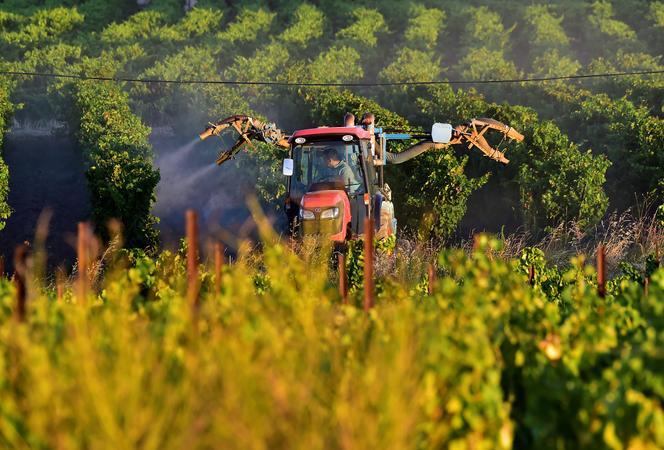 La Commission européenne propose une réforme des procédures d&rsquo;homologation des pesticides