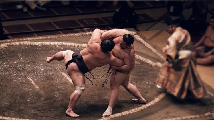 Le grand retour du sumo à Paris