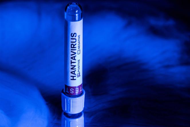 Propagation de rumeurs autour du hantavirus