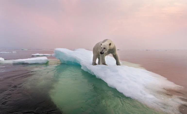 Étude du climat du Miocène pour comprendre le climat futur