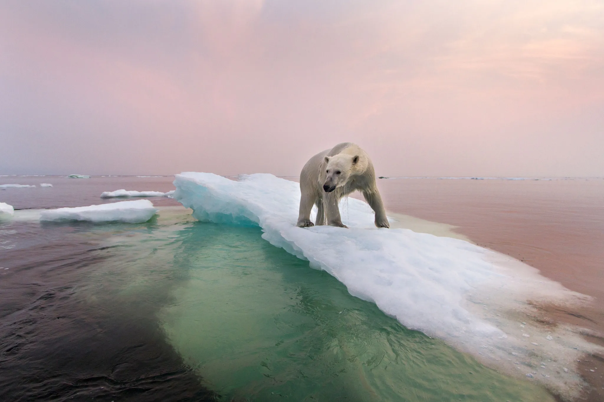 Étude du climat du Miocène pour comprendre le climat futur