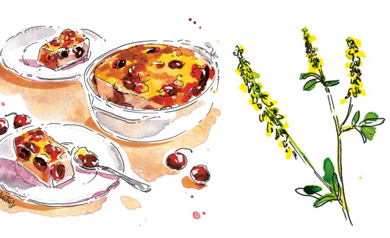 Découvrez le Clafoutis aux Cerises et Mélilot d&rsquo;Anne Etorre