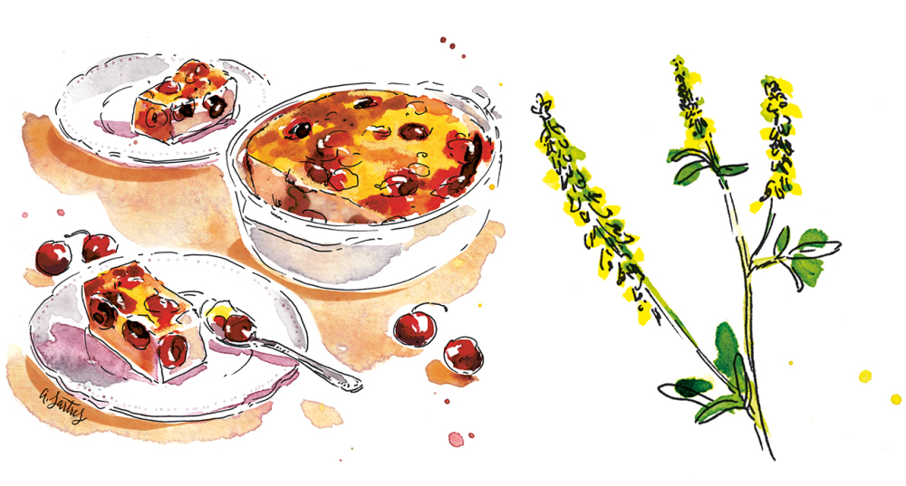 Découvrez le Clafoutis aux Cerises et Mélilot d&rsquo;Anne Etorre