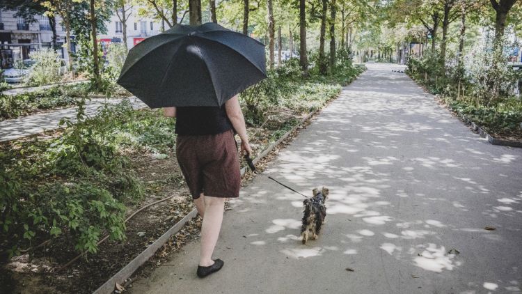 Un nouvel épisode de canicule attendu en France