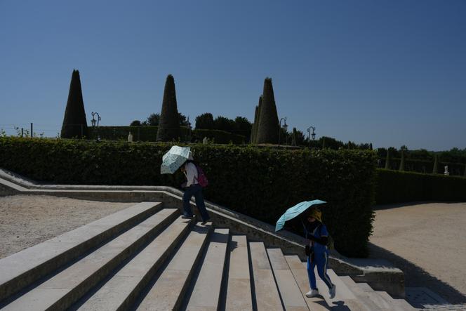Conférence nationale du handicap reportée en raison de la canicule