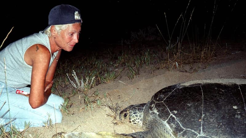 Une hommage à Mona Khalil, pionnière de l&rsquo;écologie au Liban