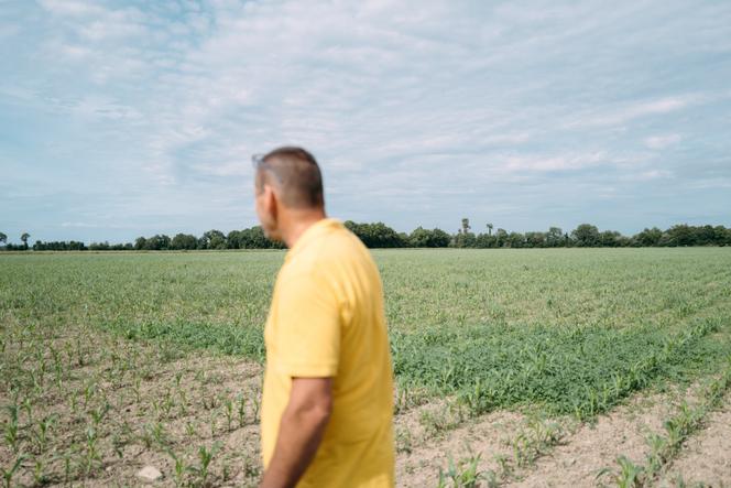 Le projet de loi d’urgence agricole et les enjeux environnementaux