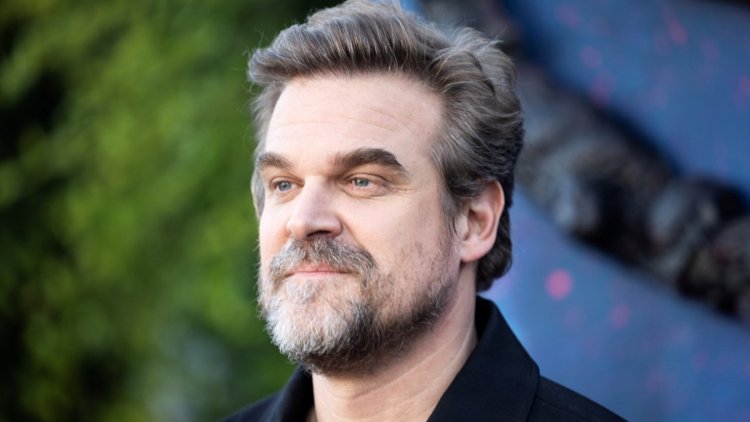 David Harbour et Millie Bobby Brown : Relations et Projets