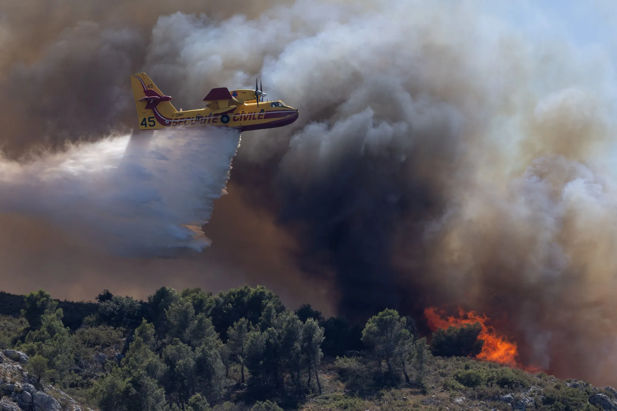L&rsquo;importance de la gestion proactive des feux de forêt