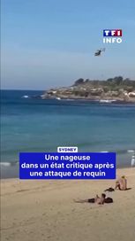 Sydney : une nageuse dans un état critique après une attaque de requin