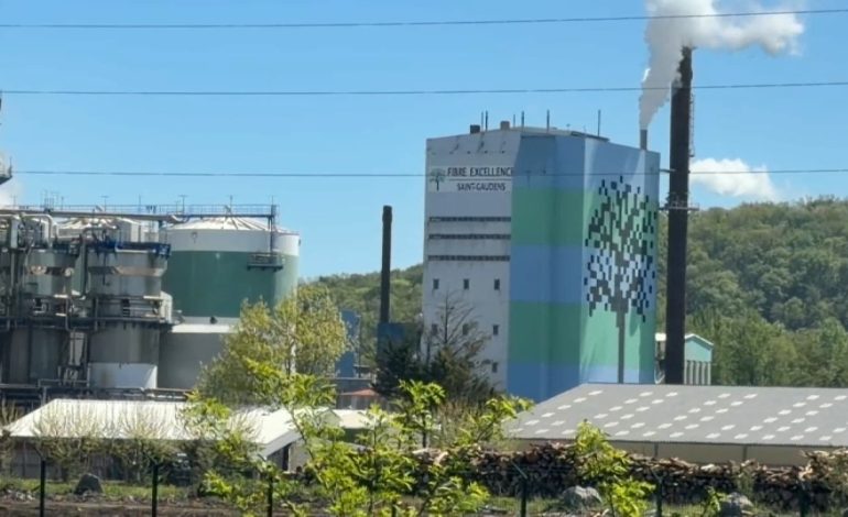 Fibre Excellence : vers un sauvetage des usines de pâte à papier en France
