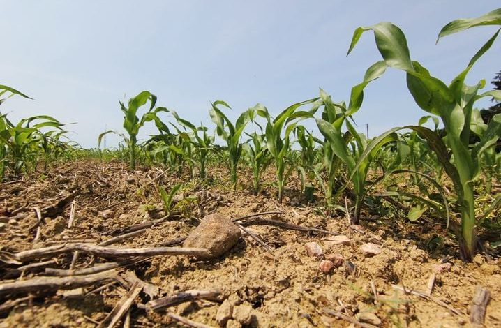 Le projet de gestion de l&rsquo;eau du bassin de la Vilaine sur la sellette