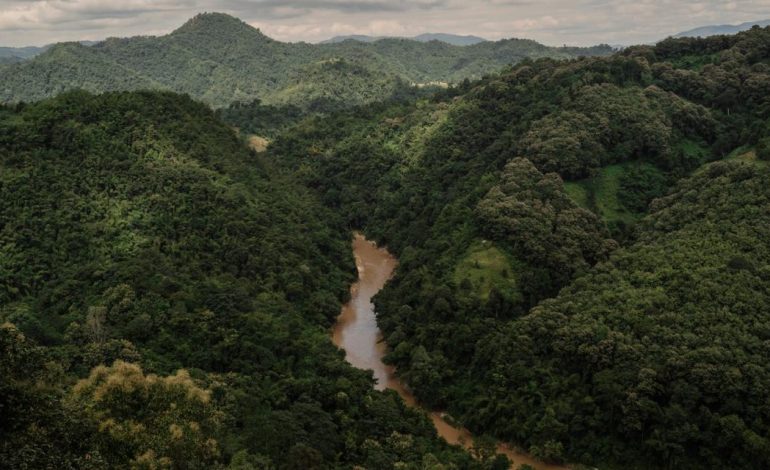 Crise environnementale dans le nord de la Thaïlande