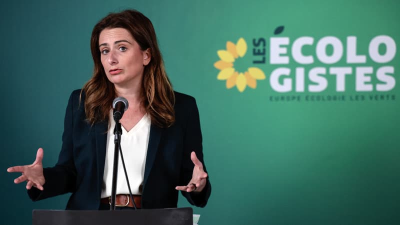Proposition de Congé Climatique par les Écologistes