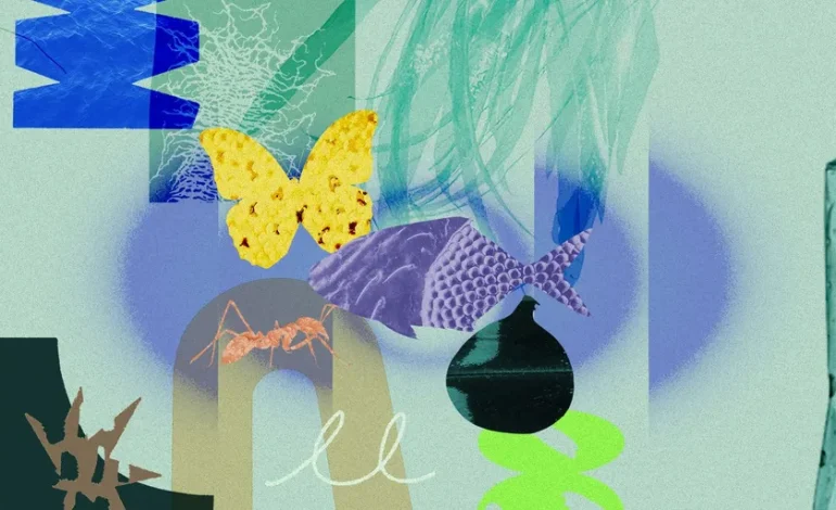 Les Synergies Magiques de la Nature